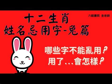 11劃的字屬兔